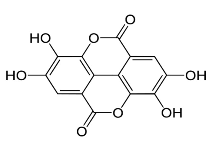 Các phân tử polyphenol trong rau có thể ngăn ngừa bệnh tiểu đường