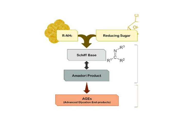 Cơ chế glycosyl hóa nâng cao không gây dị ứng (AGEs)