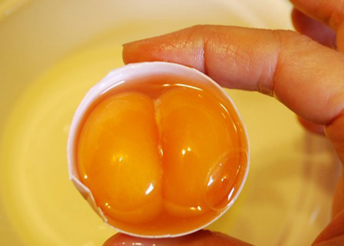 Cholesterol trong lòng đỏ trứng không làm tăng lượng cholesterol trong cơ thể